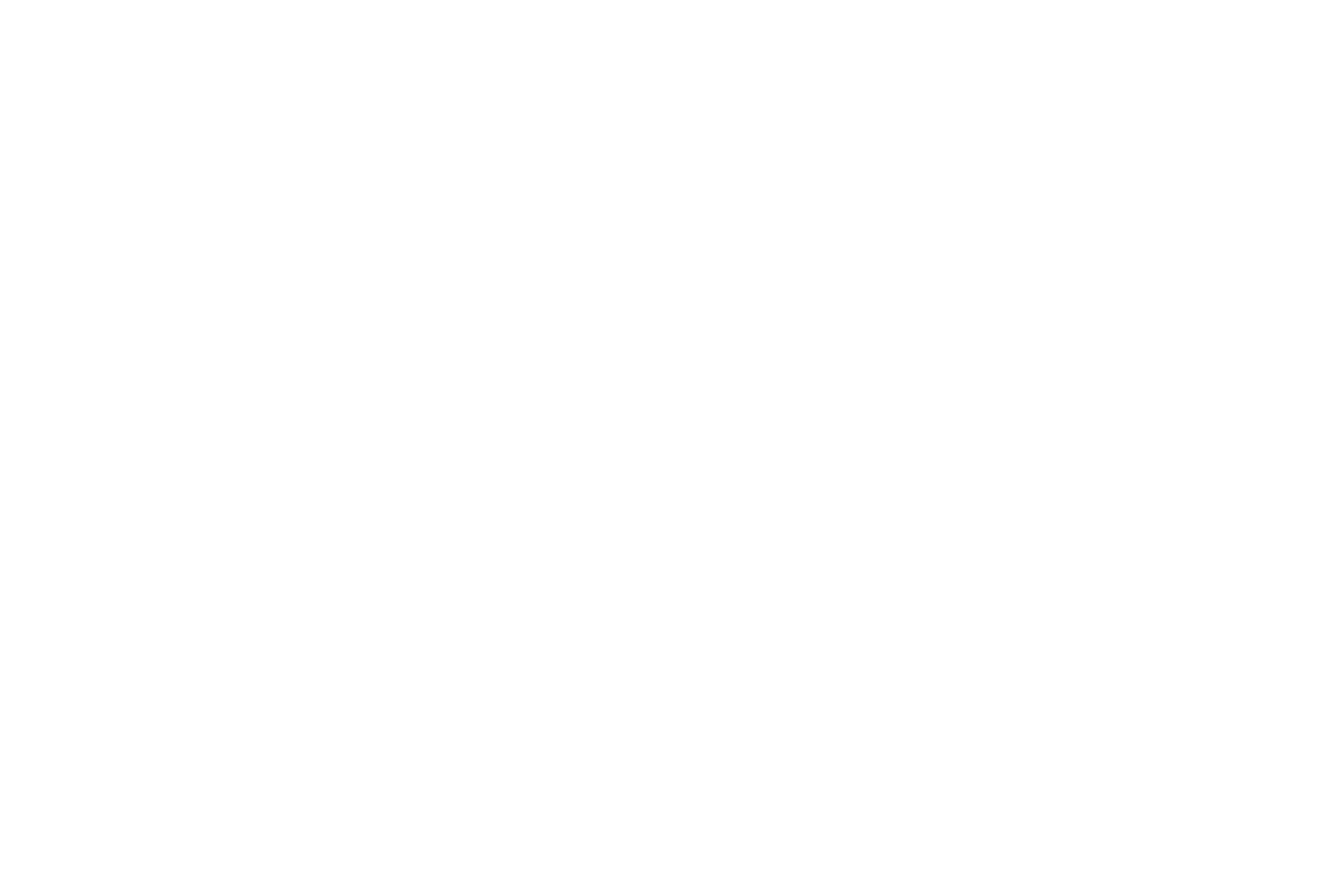 The Neuro.Academy